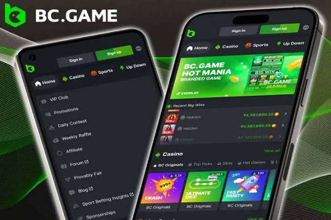 Exploring BC.Game in Ivory Coast A New Era in Online Gaming